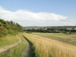 stezkaweb17jilji