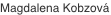 shapeimage_10_link_4