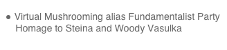  Virtual Mushrooming alias Fundamentalist Party     Homage to Steina and Woody Vasulka 